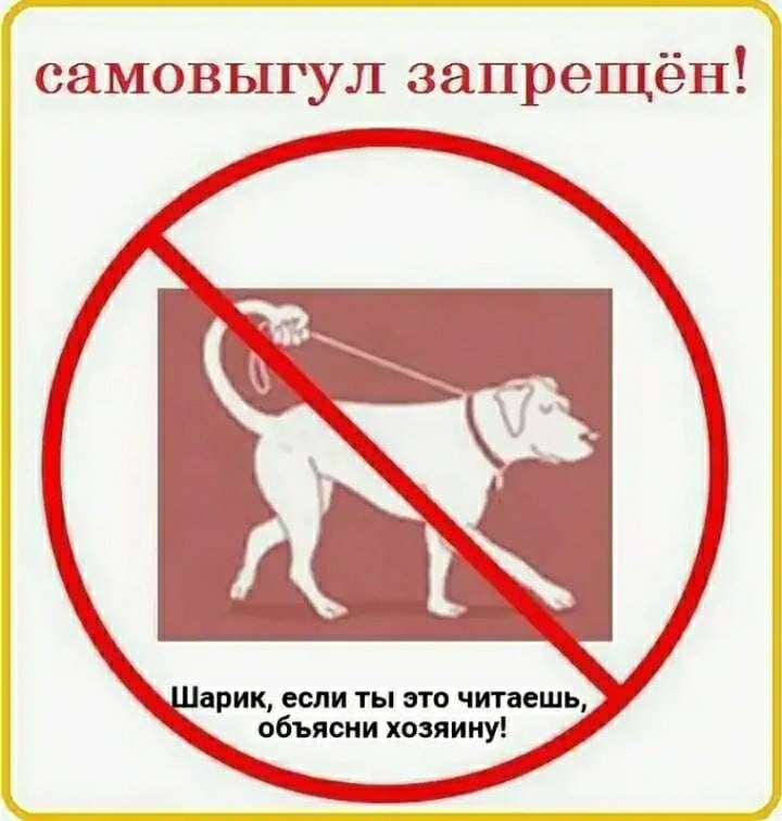 Фото к новости