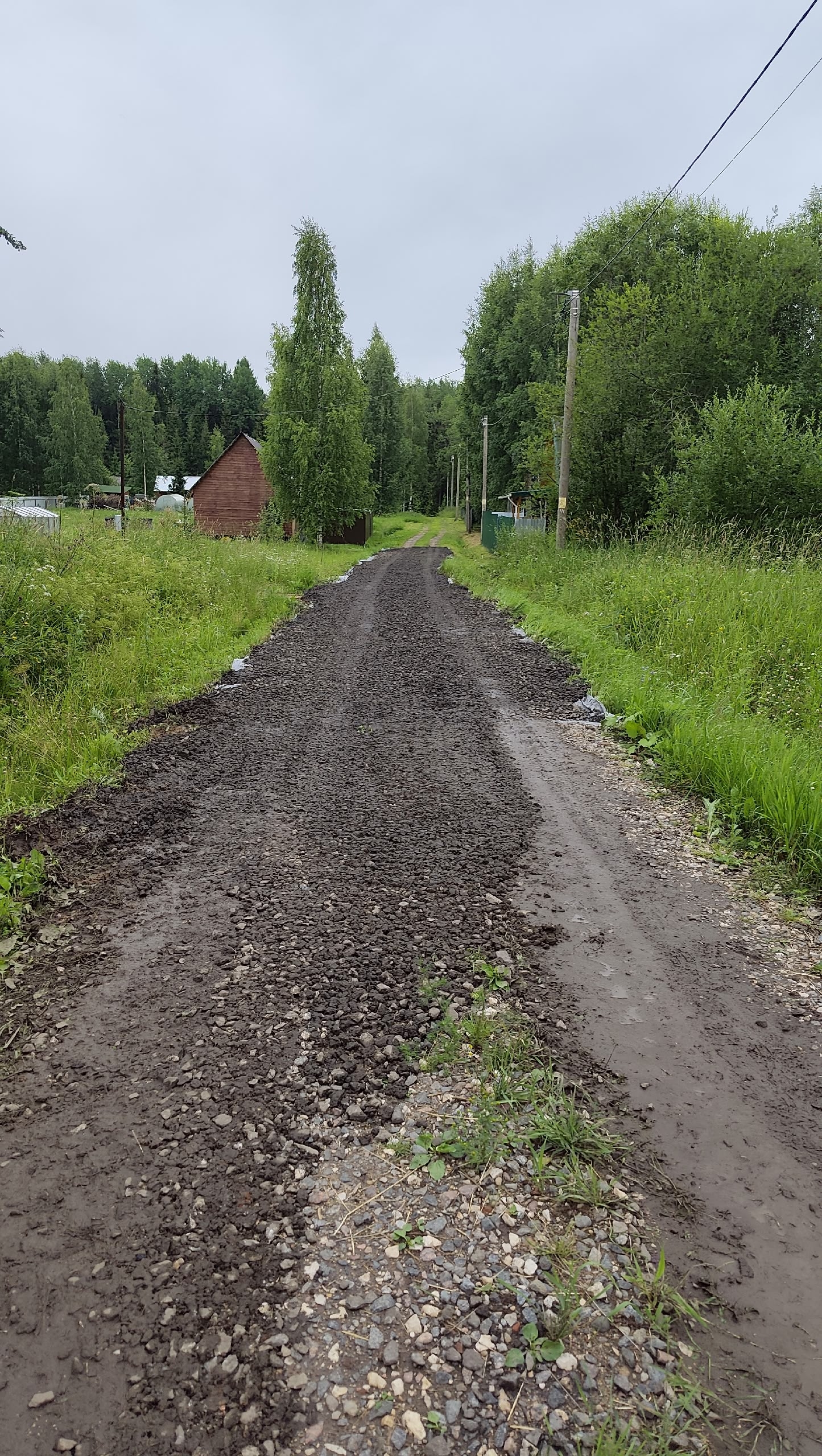 Фото к новости